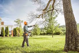 How Our Tree Care Process Works  in  Beggs, OK